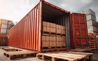 Efficient Container Loading Services – Our Latest Shipment Update