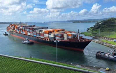 Signs You Need a Professional Logistics Partner